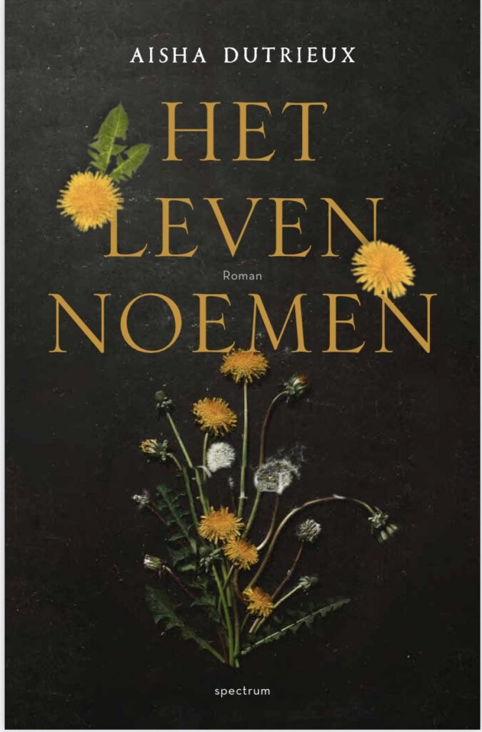 Omslag Het leven noemen